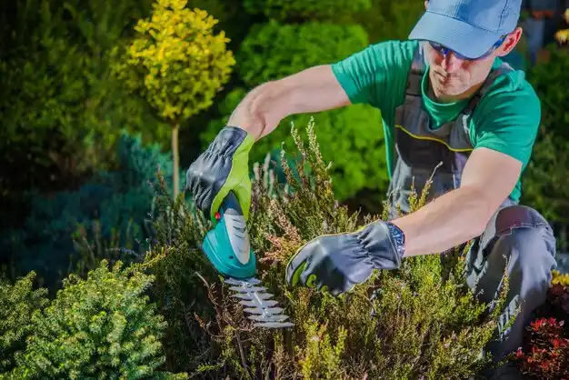 landscaping services Kinde